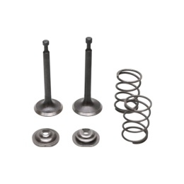 Zestaw Zaworów do Honda GX160 GXV160 GX200 Zongshen 168F 170F