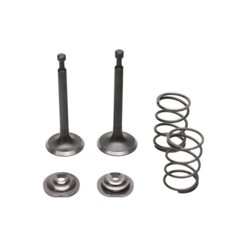 Zestaw Zaworów do Honda GX160 GXV160 GX200 Zongshen 168F 170F