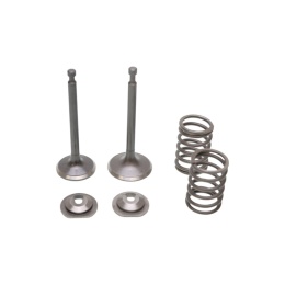 Zestaw Zaworów do Honda GX340 GX390 Zongshen 188F